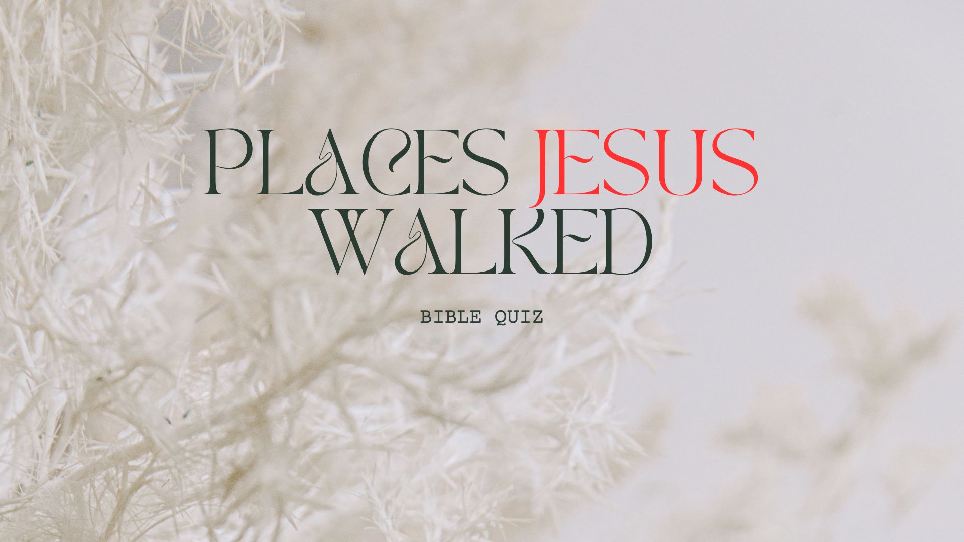 Trace the journey of Jesus from Bethlehem to the Mount of Olives thumbnail