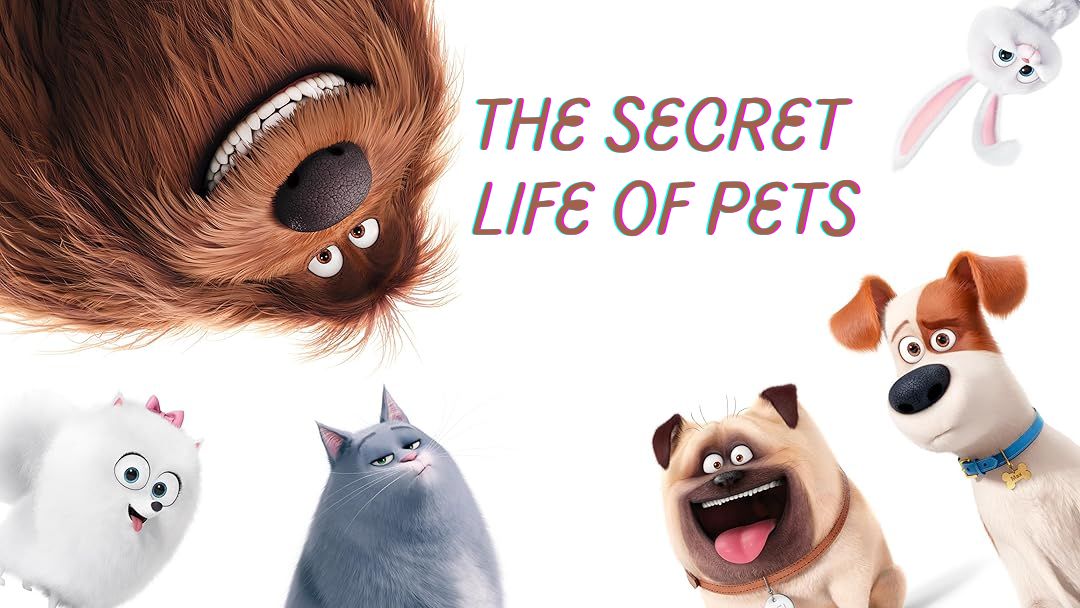 The Ultimate Secret Life of Pets Quiz!! thumbnail