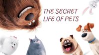 The Ultimate Secret Life of Pets Quiz!!