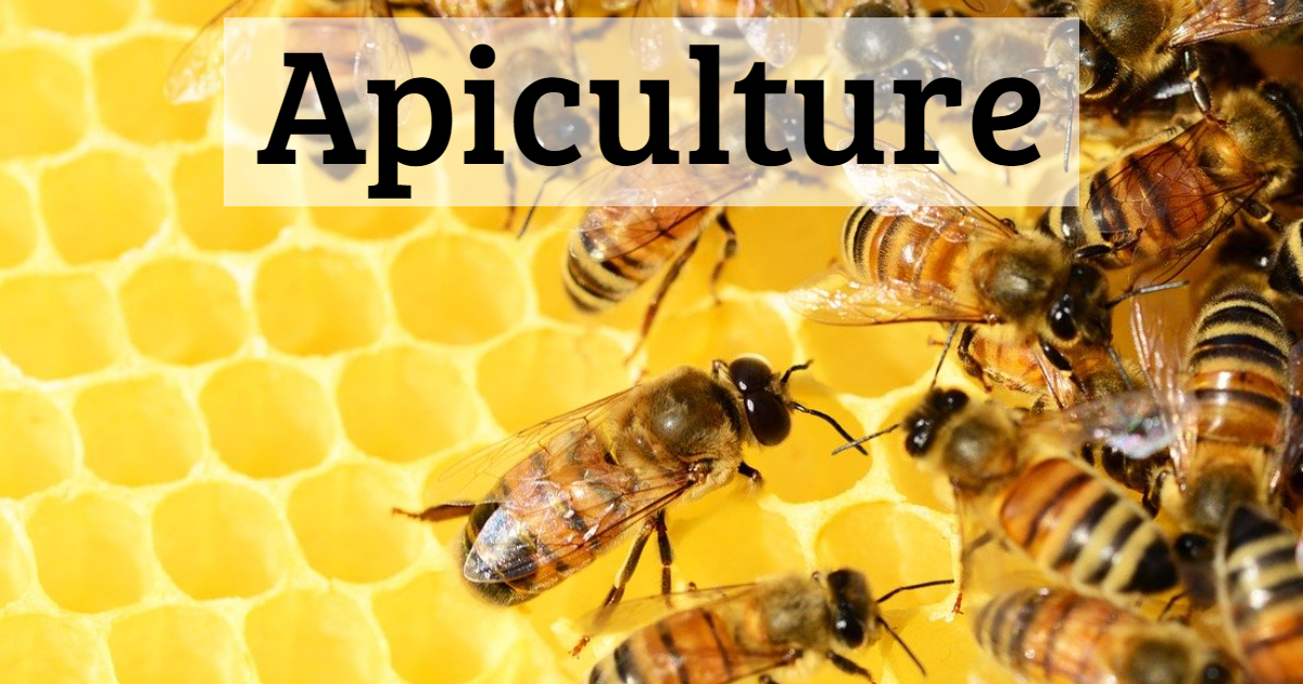 Take This Quiz On Apiculture thumbnail