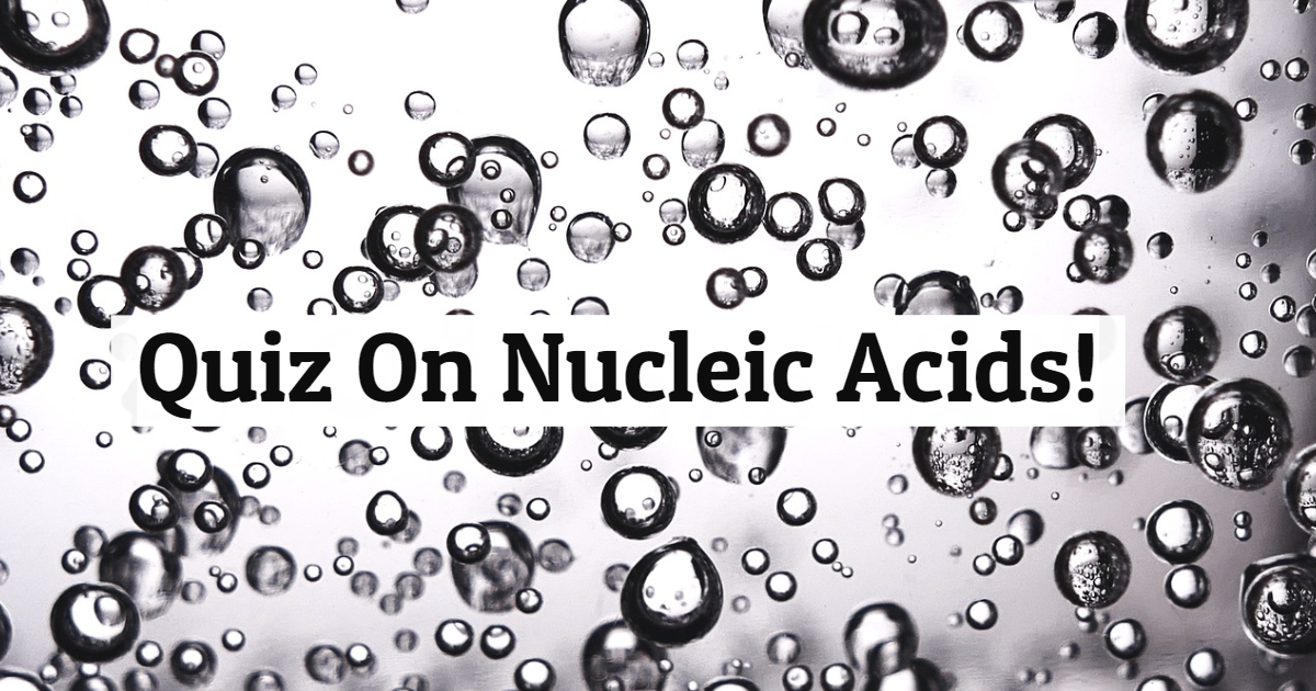 Take This Quiz On Nucleic Acids! thumbnail