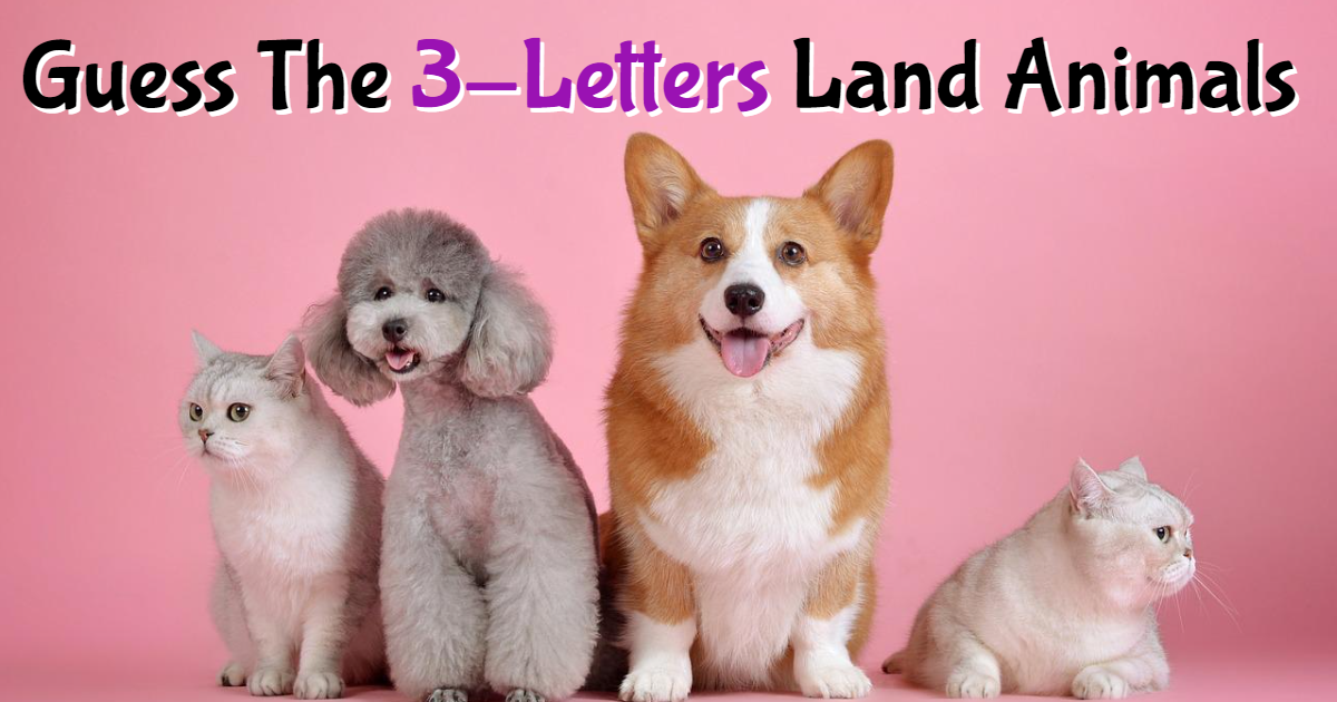 Guess The 3-Letters Land Animals thumbnail
