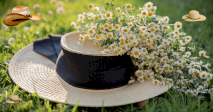 Guess The Type Of Hat!