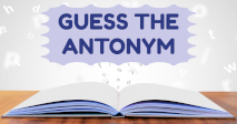 Guess the Antonym!