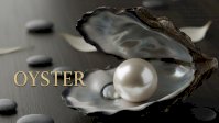 Oysters – Nature’s Hidden Treasure of the Sea