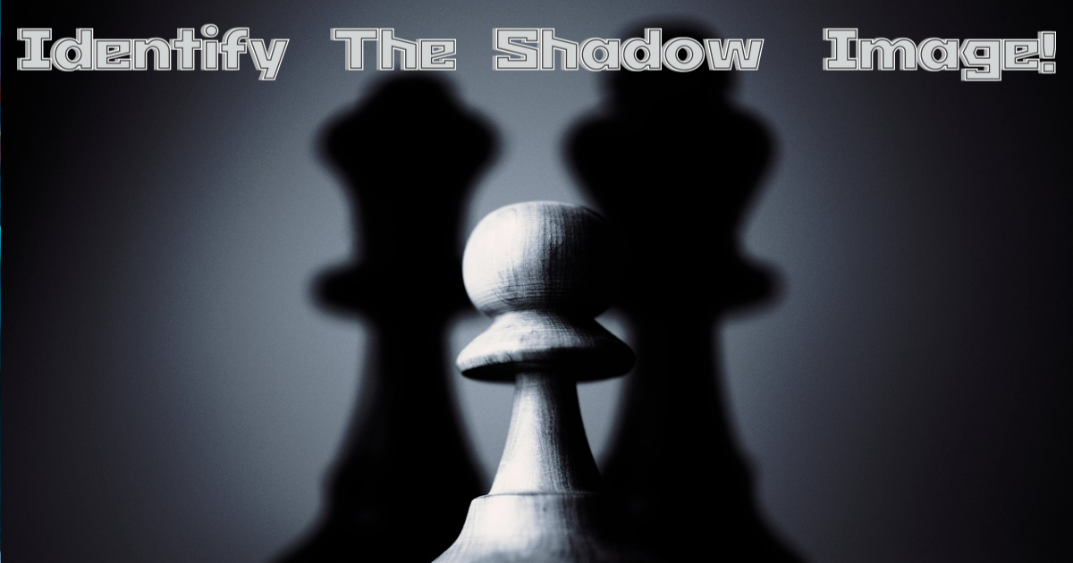 Can You Guess This Shadow Image? thumbnail