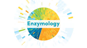 Interesting facts about Enzymology thumbnail
