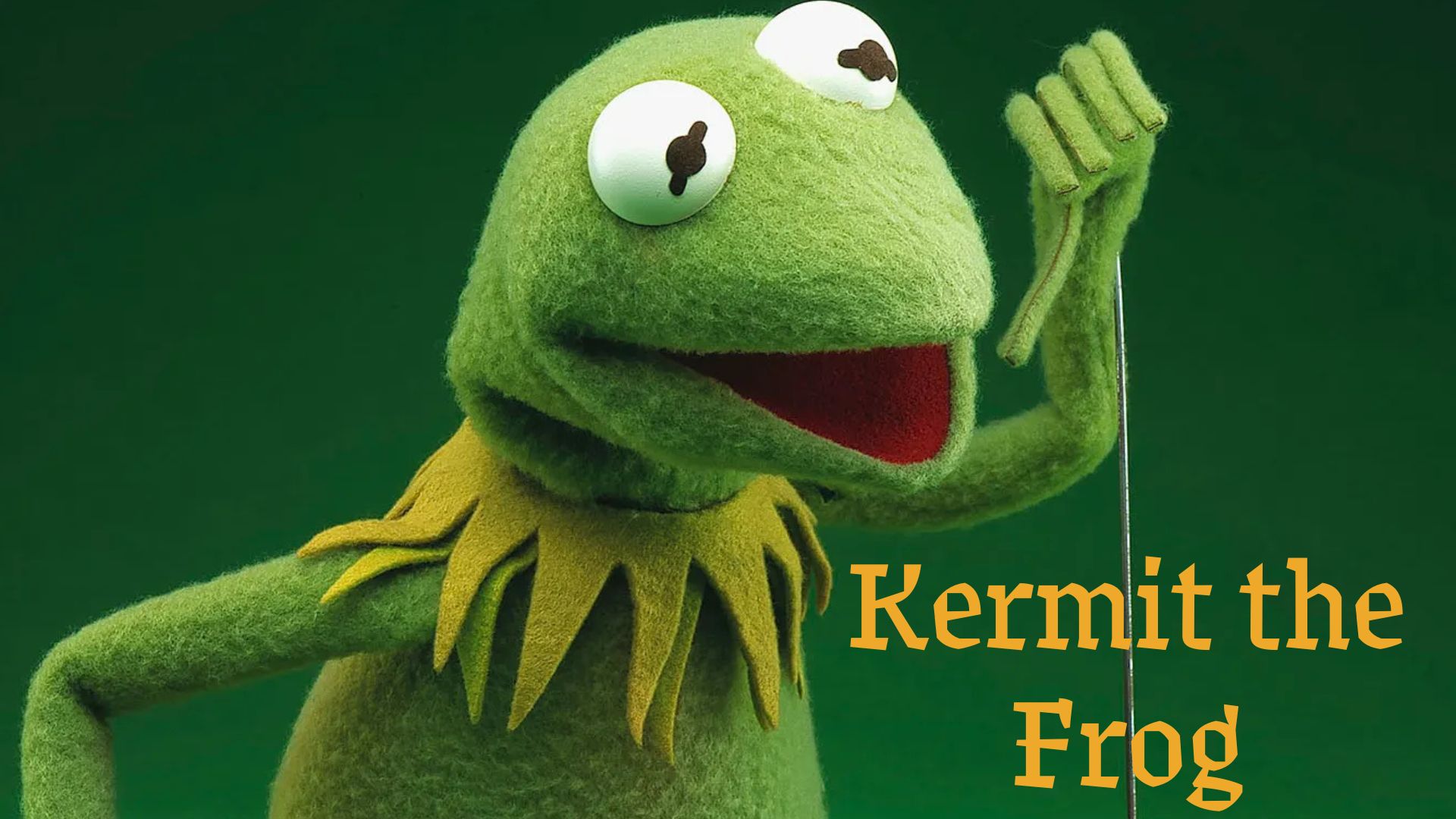 "It’s Not Easy Being Green: Can You Ace the Kermit Quiz?" thumbnail