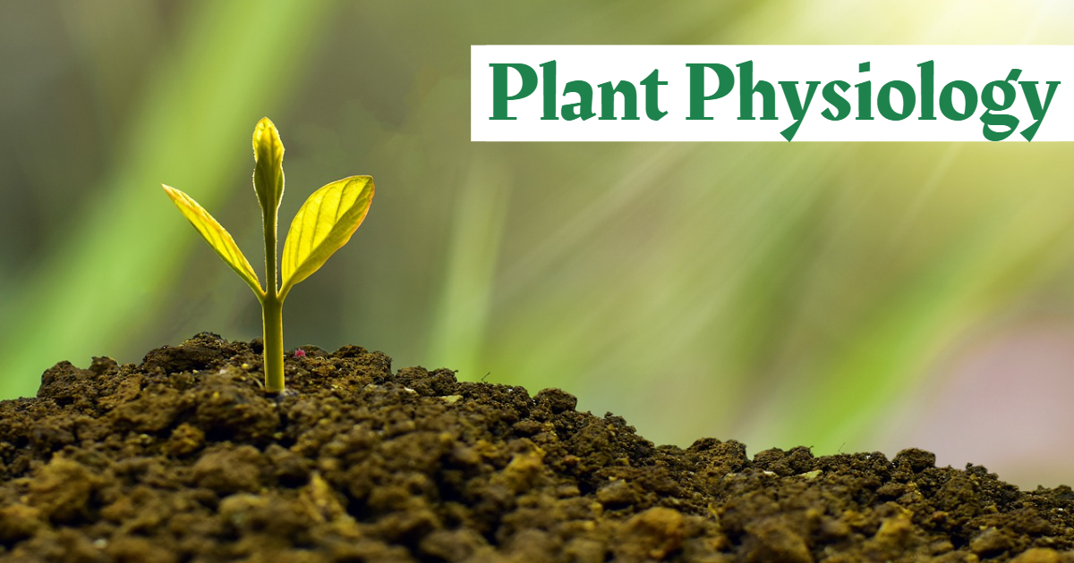 Quiz On Plant Physiology! thumbnail