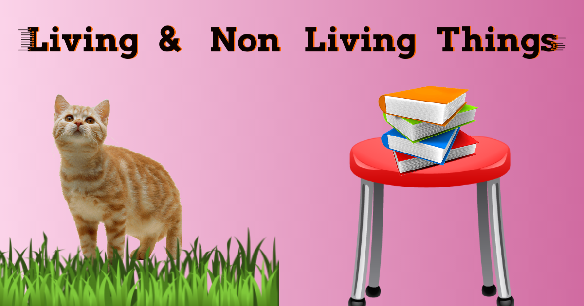 Quiz On Living And Non-Living Things! thumbnail