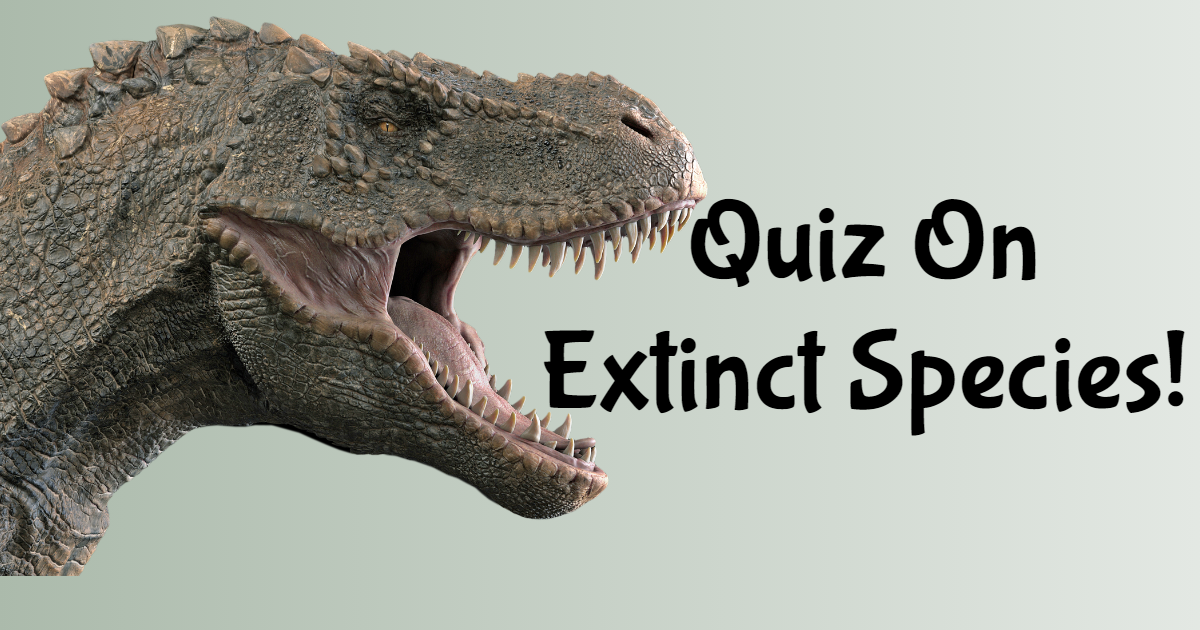 Quiz On Extinct Species! thumbnail