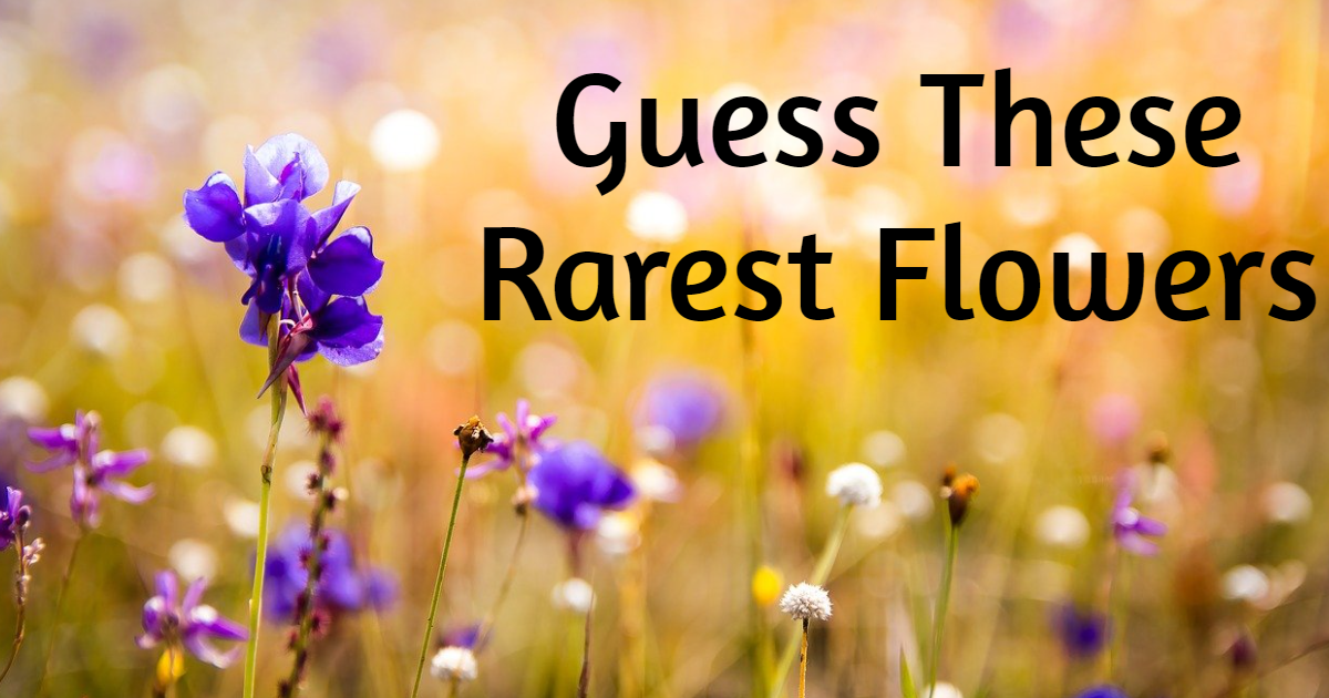 Guess These Rarest Flowers On Earth thumbnail