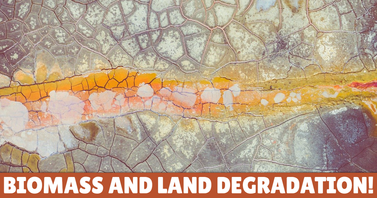 Biomass and Land Degradation! thumbnail
