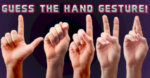 Make A Guess On Hand Gestures!