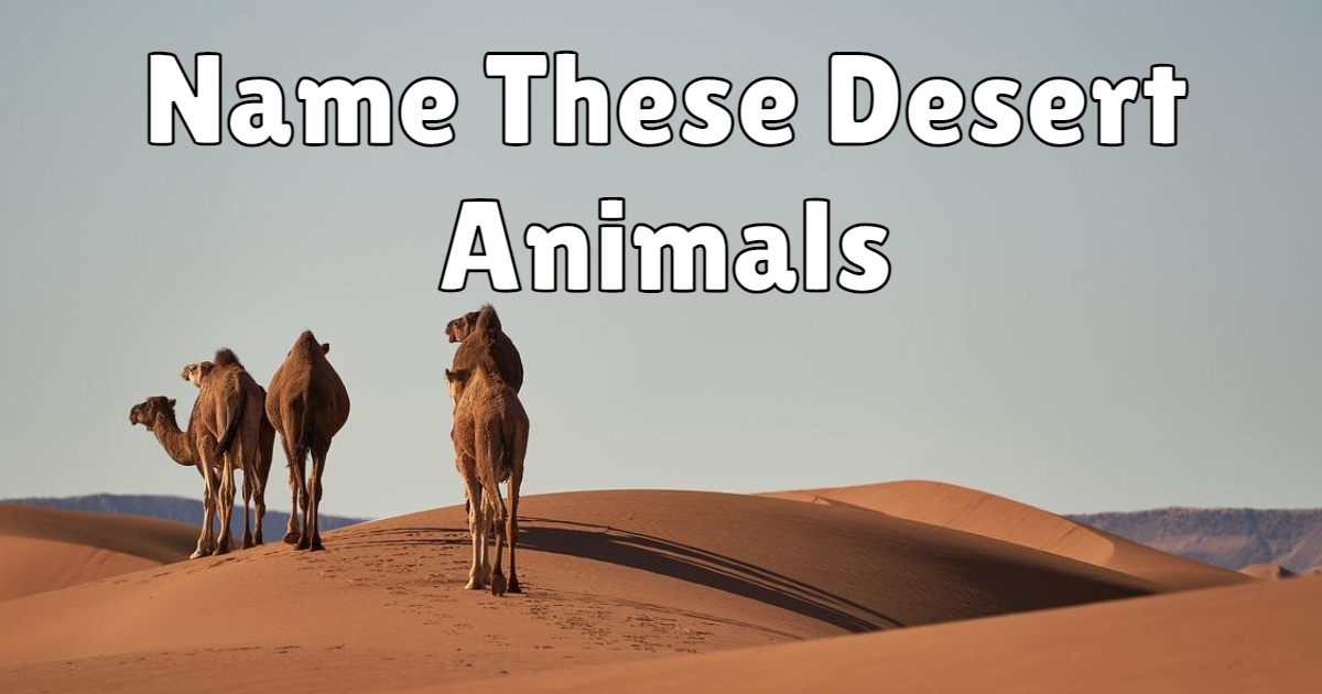 Take the free online Name These Desert Animals - Science quiz |  