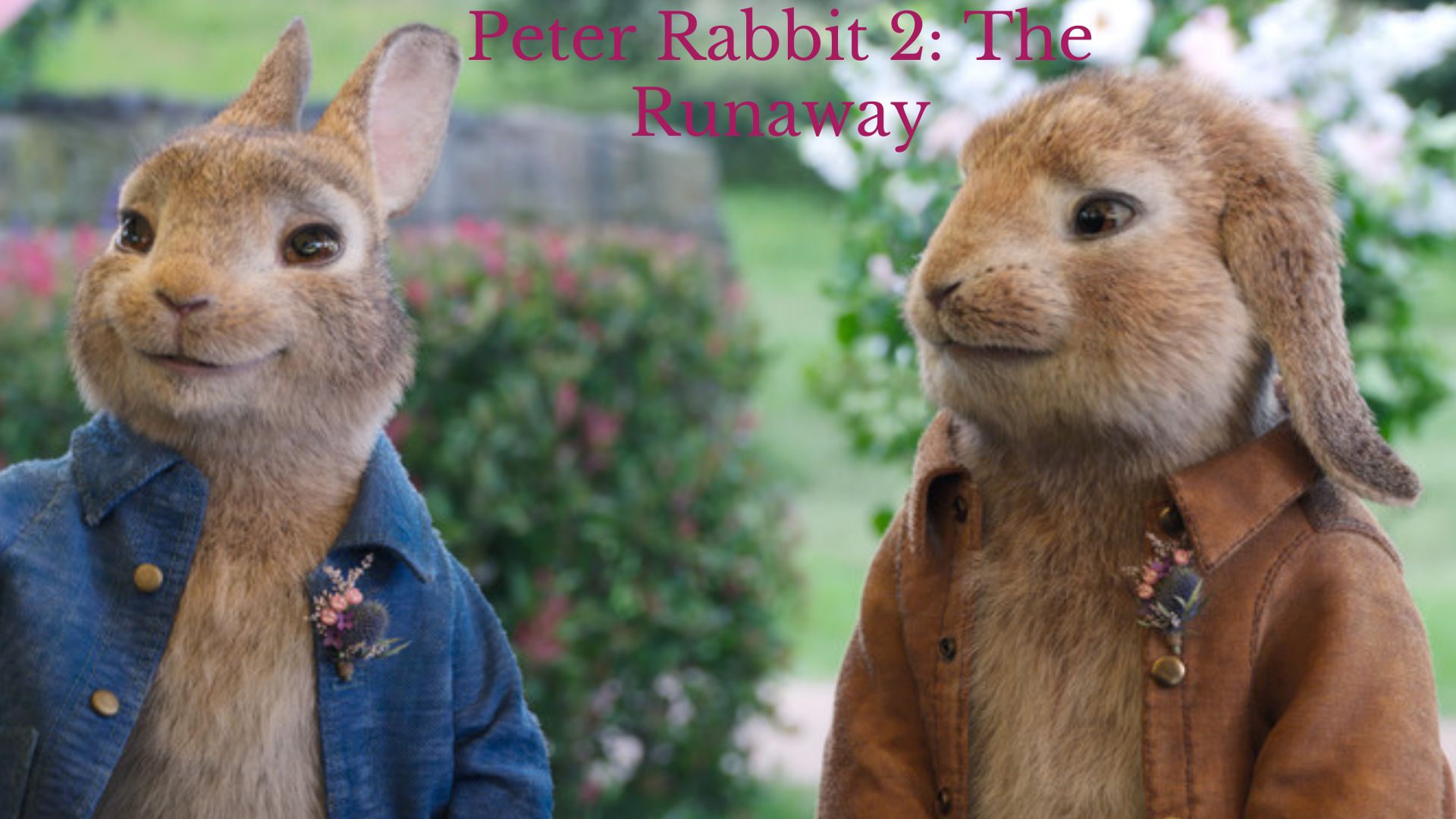 Test Your Knowledge About Peter Rabbit 2: The Runaway - Are You Ready to Hop into Fun? thumbnail