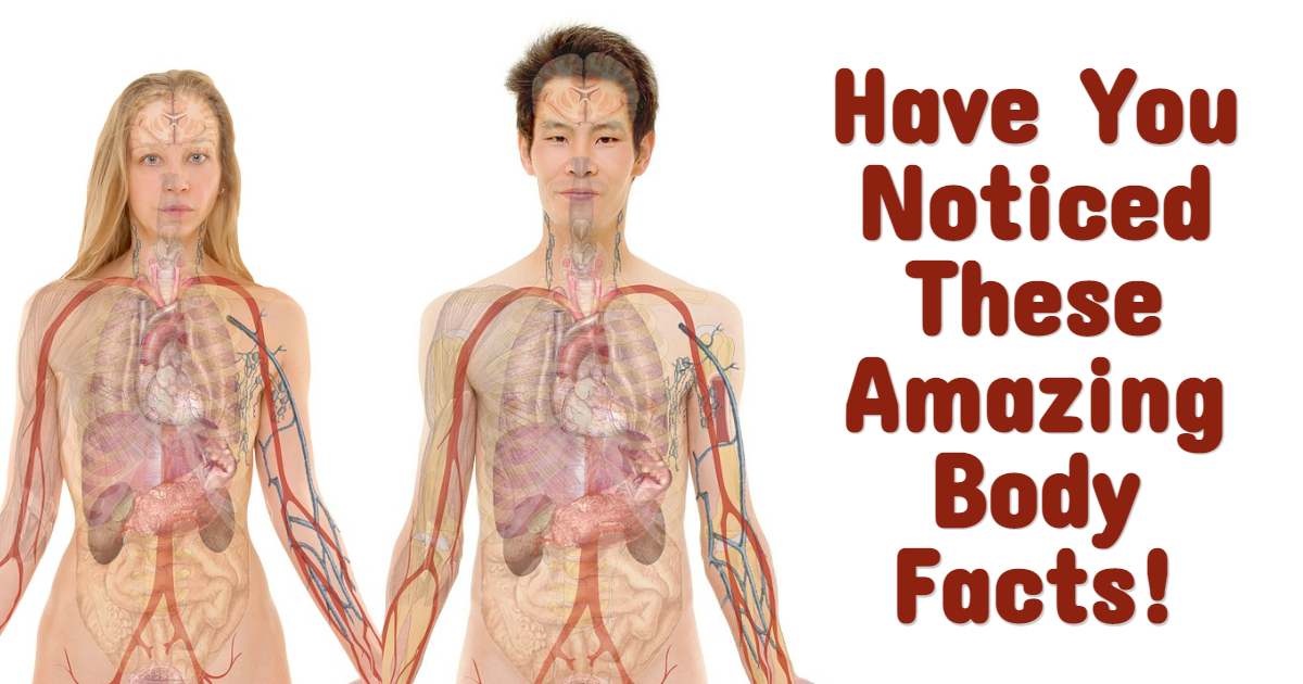 Have You Noticed These Amazing Body Facts! thumbnail