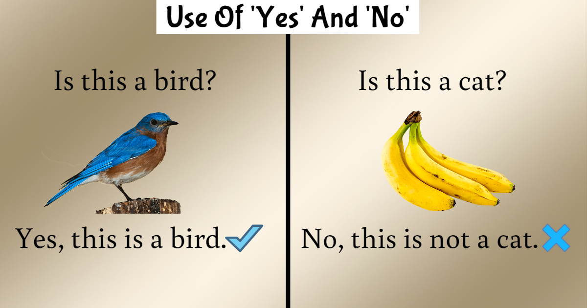 Use Of 'Yes' And 'No' thumbnail
