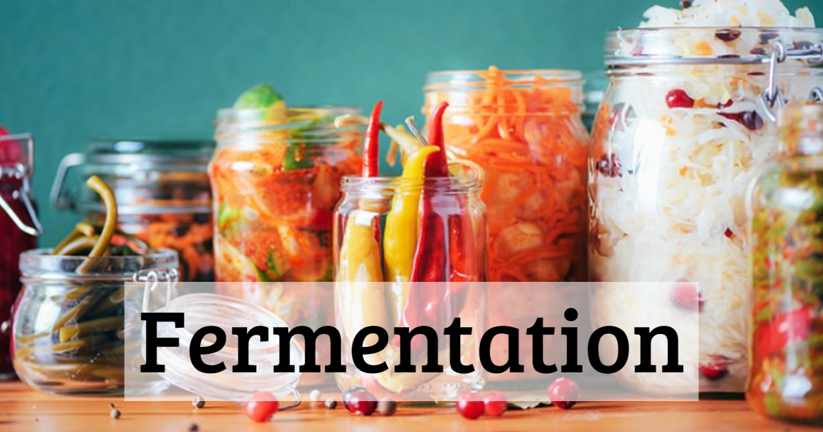 Know More About Fermentation thumbnail