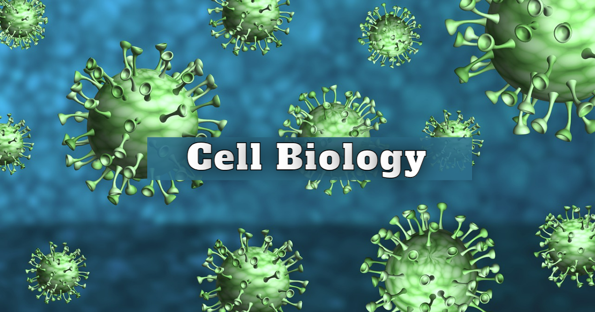Know About Cell Biology! thumbnail