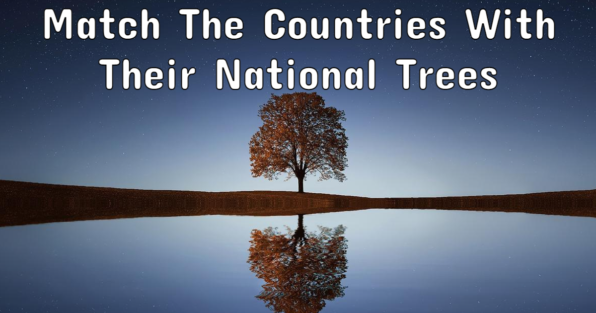 Match The Countries With Their National Trees thumbnail