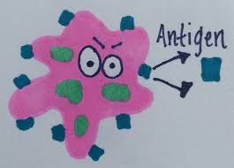 Can You Play This Interesting Quiz On Antigen? thumbnail