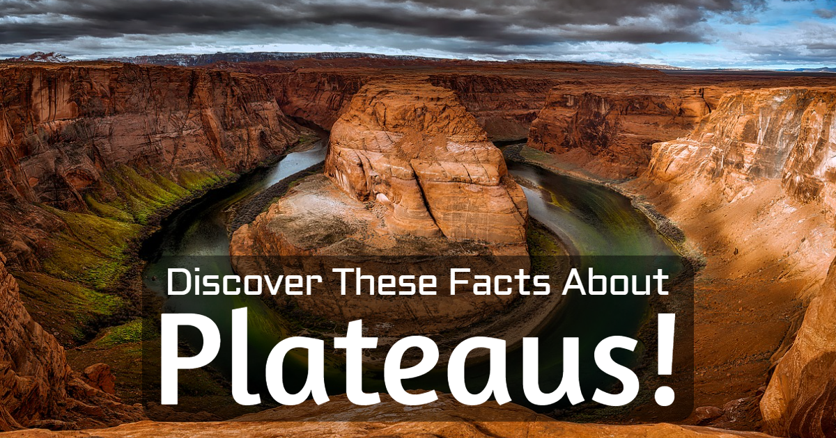Discover These Facts About Plateaus! thumbnail