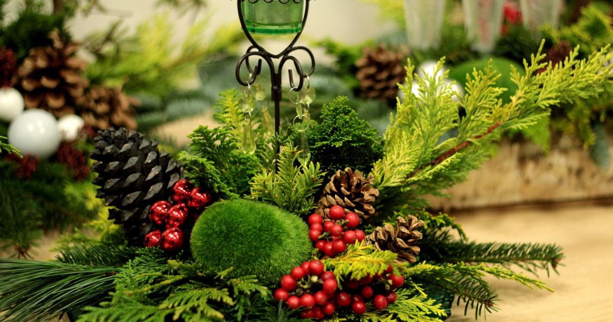 Popular Christmas Flowers And Plants thumbnail