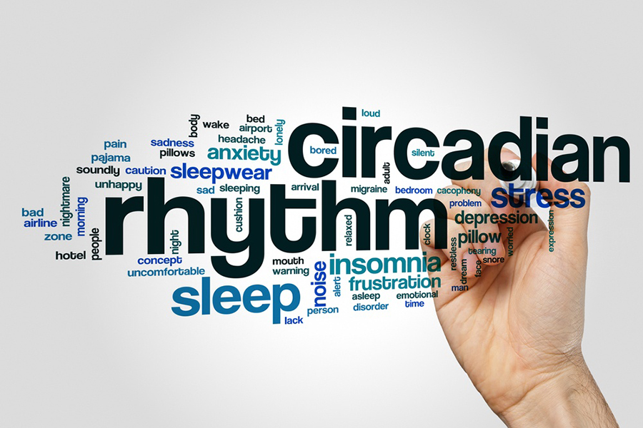Here's an interesting quiz on Circadian Rhythm and the disorders of sleep!! Do play this. thumbnail