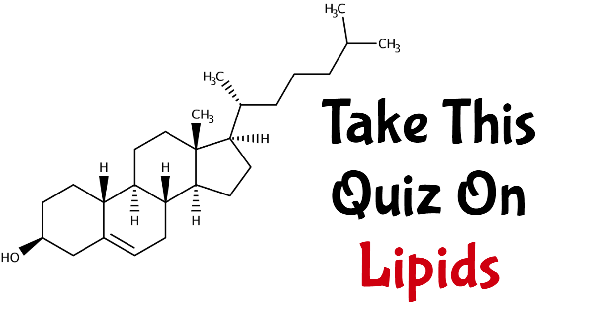 Take This Quiz On Lipids thumbnail
